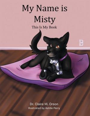 Cover of the book My Name Is Misty by Renee Troublefield
