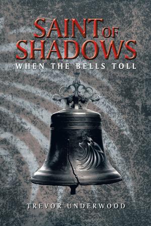 Cover of the book Saint of Shadows by Melissa Gettys, Amanda Howlett