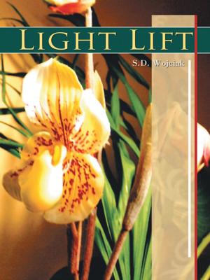 bigCover of the book Light Lift by 
