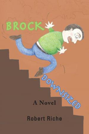 Cover of the book Brock Downsized by Timothy Shepard