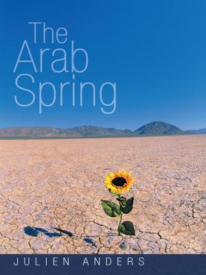 Cover of the book The Arab Spring by Dale Richard Perelman
