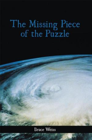 Cover of the book The Missing Piece of the Puzzle by Susan McDermott
