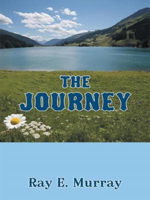 Cover of the book The Journey by Hamza Simrick