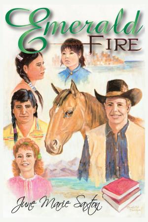 Cover of the book Emerald Fire by Collette T. Conner