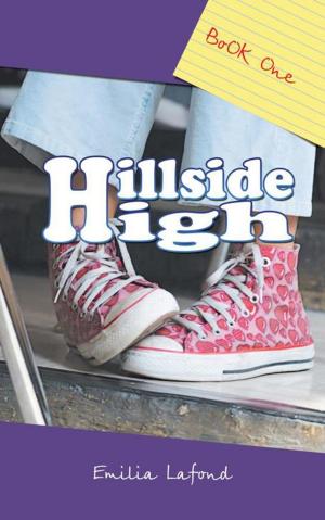 Book cover of Hillside High