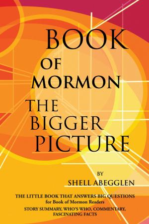 Cover of the book Book of Mormon: the Bigger Picture by Jeremiah James Lewis