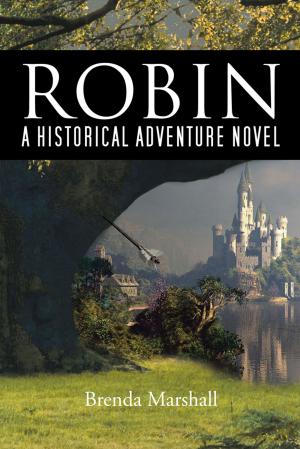 Cover of the book Robin by William Post