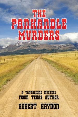 Book cover of The Panhandle Murders