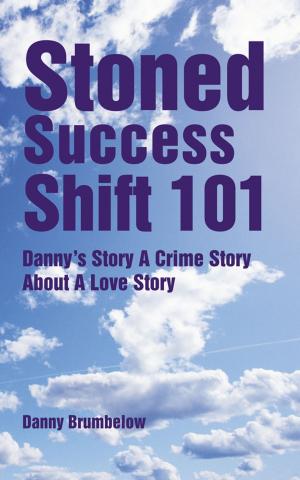 Cover of the book Stoned Success Shift 101 by Fiona Chan
