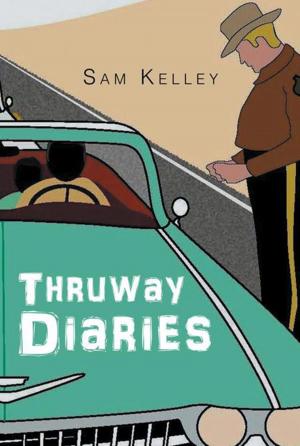 Cover of the book Thruway Diaries by Frank Hazard