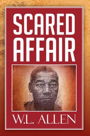 Cover of the book Scared Affair by Reva Spiro Luxenberg