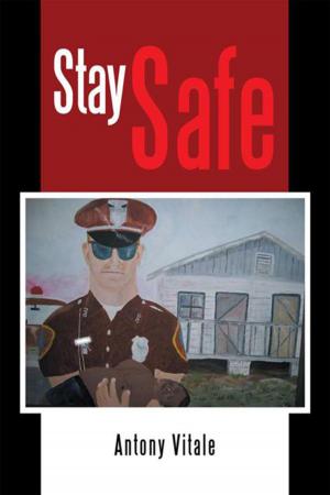 Cover of the book Stay Safe by Jane Simon Ammeson