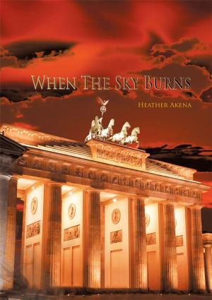 Cover of the book When the Sky Burns by J.B. Balda