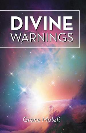 Cover of the book Divine Warnings by Daniel Dube