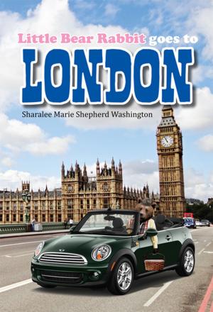bigCover of the book Little Bear Rabbit Goes to London by 