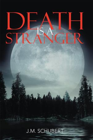 Cover of the book Death Is a Stranger by Edna May Cieslewicz