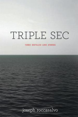 Cover of the book Triple Sec by Winston (Win) Stothert