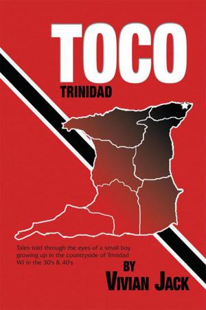 Cover of the book Toco by Cathy Vigliotti, Mary Dressendofer