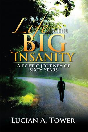 Cover of the book Life in the Big Insanity by Dr. Forrest L. Walker Sr.