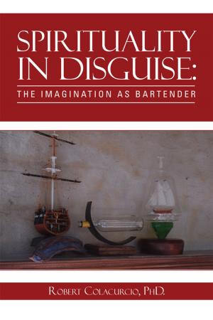 Cover of the book Spirituality in Disguise: the Imagination as Bartender by Bobbie Freiberg, Steven Rosenberg