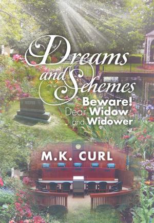 Book cover of Dreams and Schemes