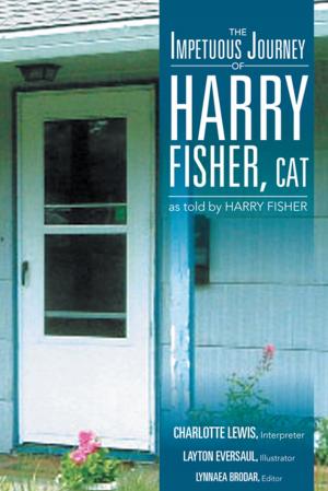 Book cover of The Impetuous Journey of Harry Fisher, Cat