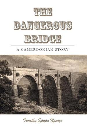 Book cover of The Dangerous Bridge