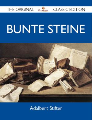Book cover of Bunte Steine - The Original Classic Edition