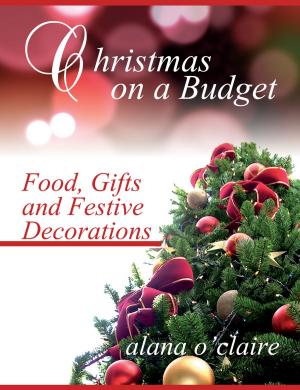 Cover of the book Christmas on a Budget by E. Phillips (Edward Phillips) Oppenheim