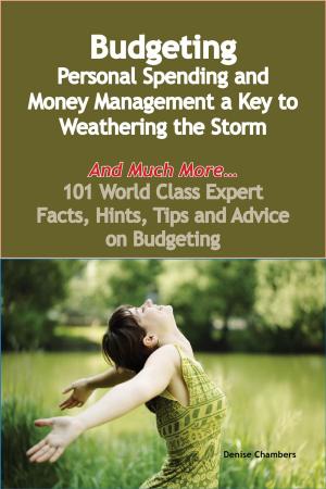 Book cover of Budgeting - Personal Spending and Money Management a Key to Weathering the Storm - And Much More - 101 World Class Expert Facts, Hints, Tips and Advice on Budgeting