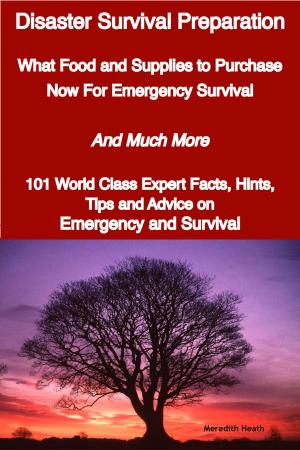 Cover of the book Disaster Survival Preparation - What Food and Supplies to Purchase Now For Emergency Survival - And Much More - 101 World Class Expert Facts, Hints, Tips and Advice on Survival and Emergency by Mary Brock