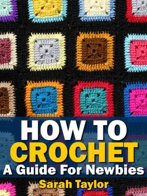 Cover of the book How To Crochet - A Guide For Newbies by Brianag Boyd