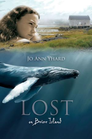Cover of the book Lost on Brier Island by Lesley Crewe