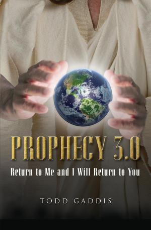 Cover of the book Prophecy 3.0 by Wendell Kent