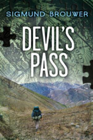 Cover of the book Devil's Pass by Chris Struyk-Bonn