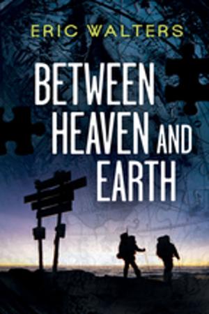 Cover of the book Between Heaven and Earth by Jeff Ross