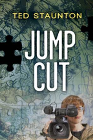 Cover of the book Jump Cut by Robin Stevenson