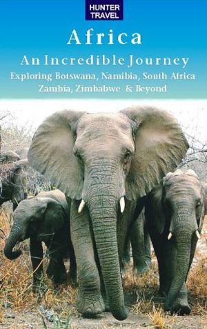 bigCover of the book Africa - An Incredible Journey by 