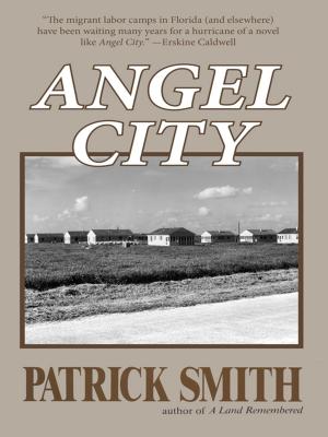 Book cover of Angel City
