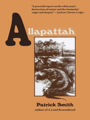 Cover of the book Allapattah by Edwin S Iversen, Renate H Skinner