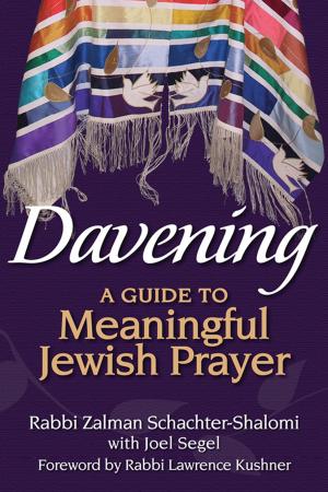 Cover of the book Davening by Rabbi Kerry M. Olitzky, Rabbi Daniel Judson