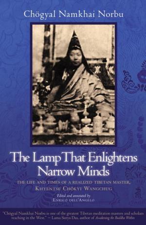 Cover of The Lamp That Enlightens Narrow Minds