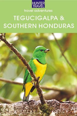 Cover of the book Tegucigalpa & Southern Honduras by J. Martinez-Scholl