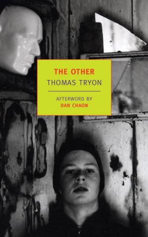 Cover of the book The Other by Kingsley Amis