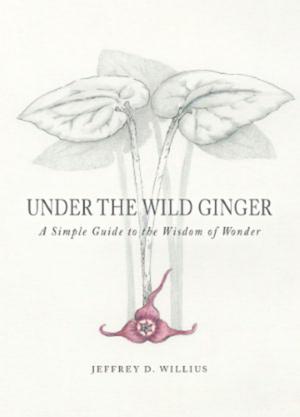 Cover of the book Under the Wild Ginger by Andreas Moritz