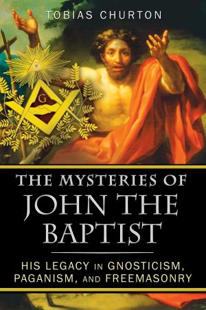 bigCover of the book The Mysteries of John the Baptist by 