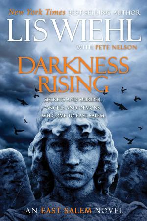 Cover of the book Darkness Rising by Thomas Nelson