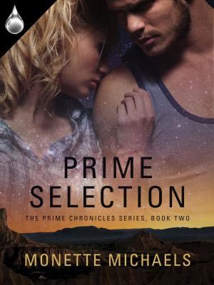 Cover of the book Prime Selection by Carolyn LeVine Topol