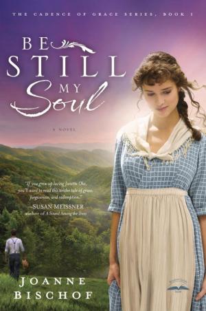 Cover of the book Be Still My Soul by Dave Ferguson, Jon Ferguson
