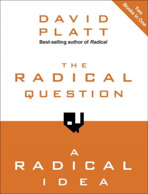 Cover of the book The Radical Question and A Radical Idea by Melissa B. Kruger